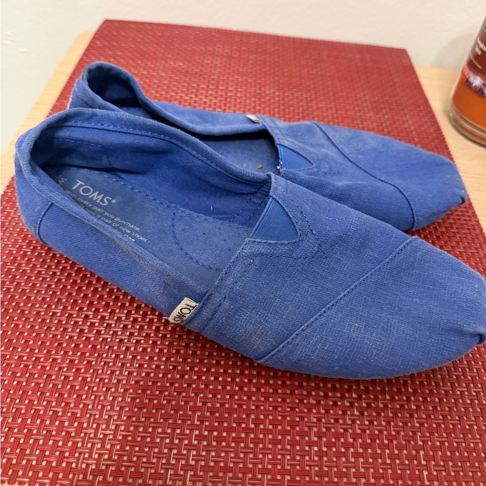 TOMS Blue Casual Shoes